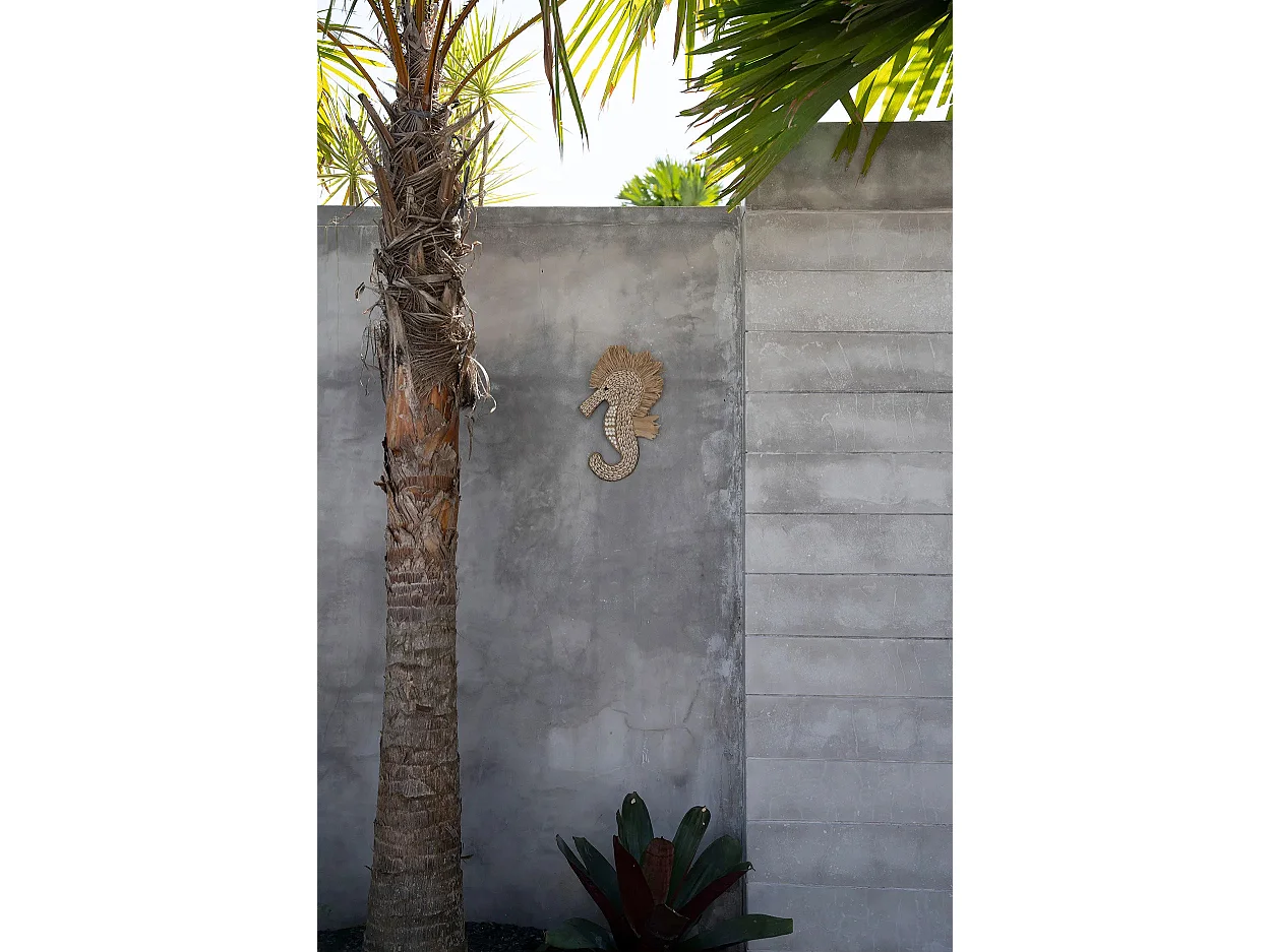 Seepferdchen mit Muscheln - Weiß