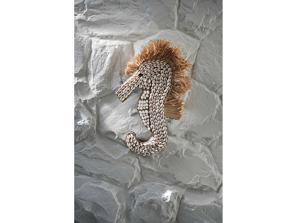 Het Schelpen Zeepaard - Wit