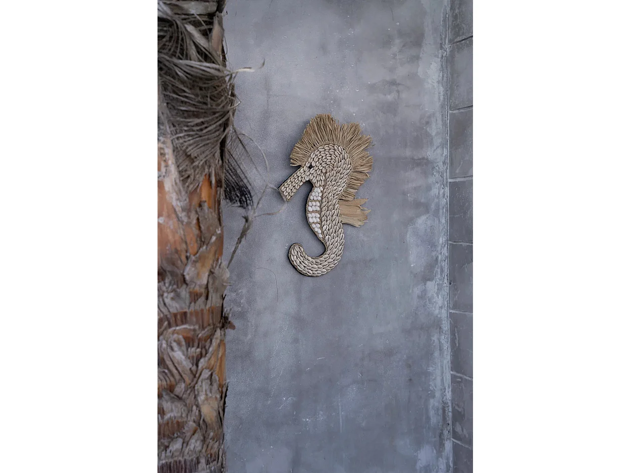 Het Schelpen Zeepaard - Wit