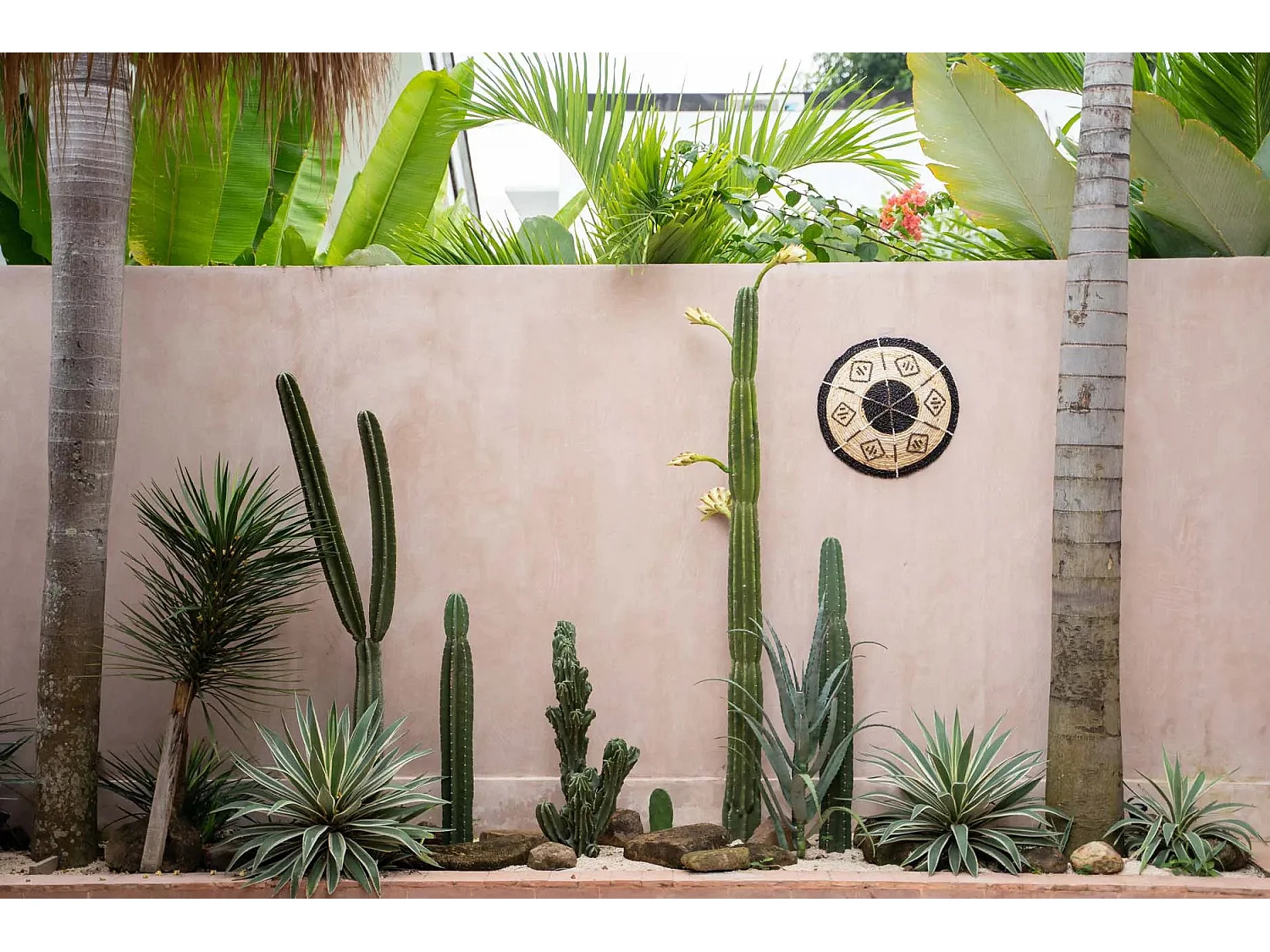 L’Assiette Cozumel – Petite