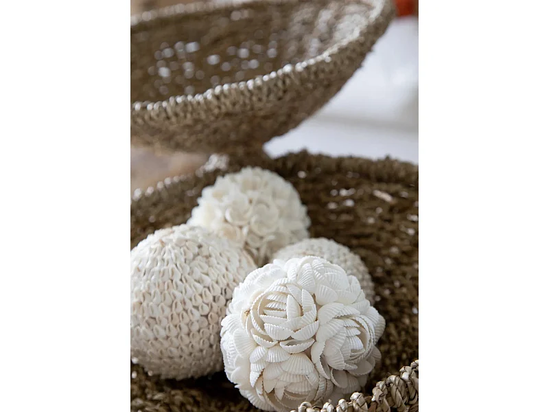 De Rose Shell Bal - Wit - L