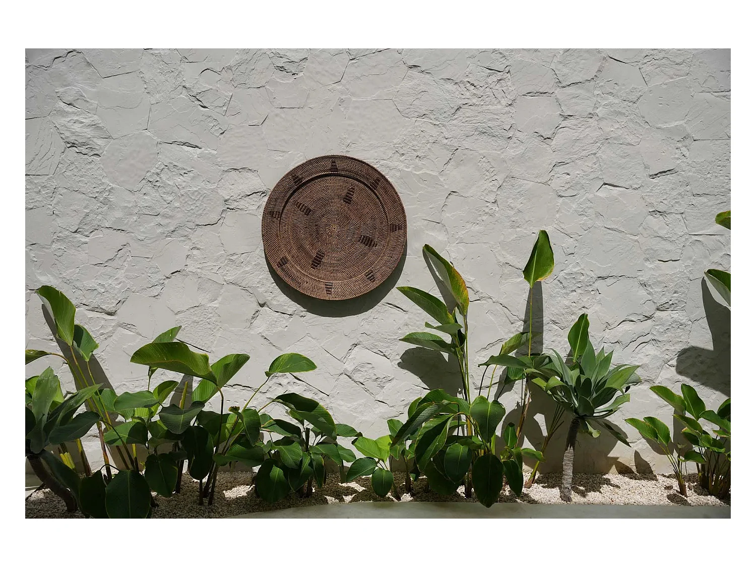 L'Assiette Jasmin - Marron - XL