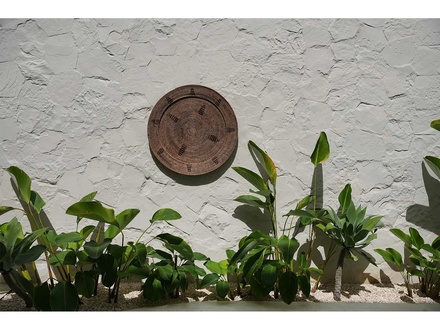 The Jasmine Plate - Brown - XL