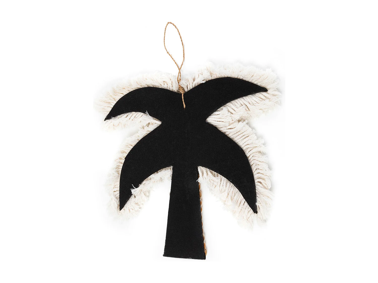 Die Baumwoll- und Muschelpalme - Weiß Natur