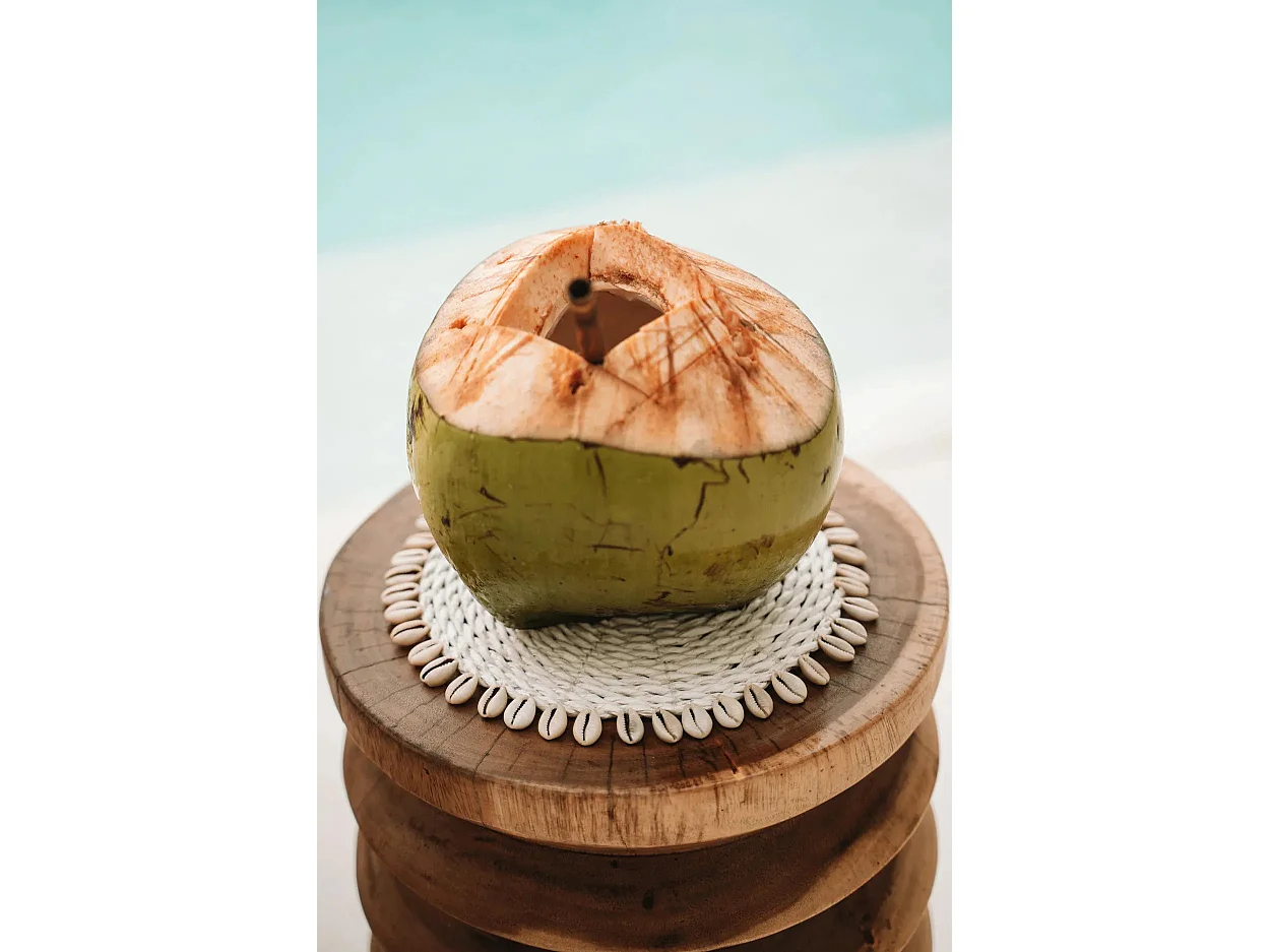 De Seagrass Shell Pannenonderzetter - Wit