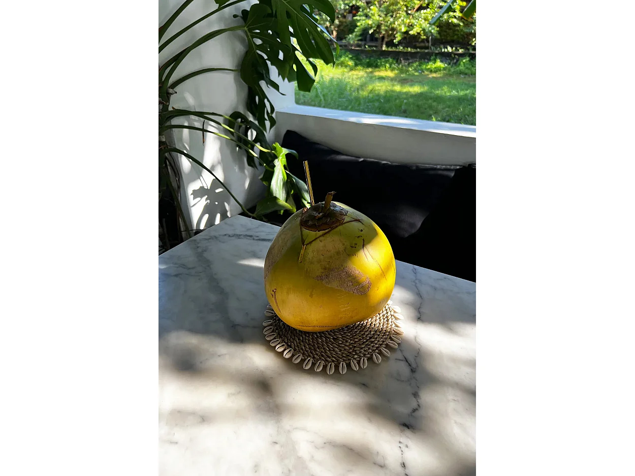 De Zeegras Schelpenonderzetter - Naturel