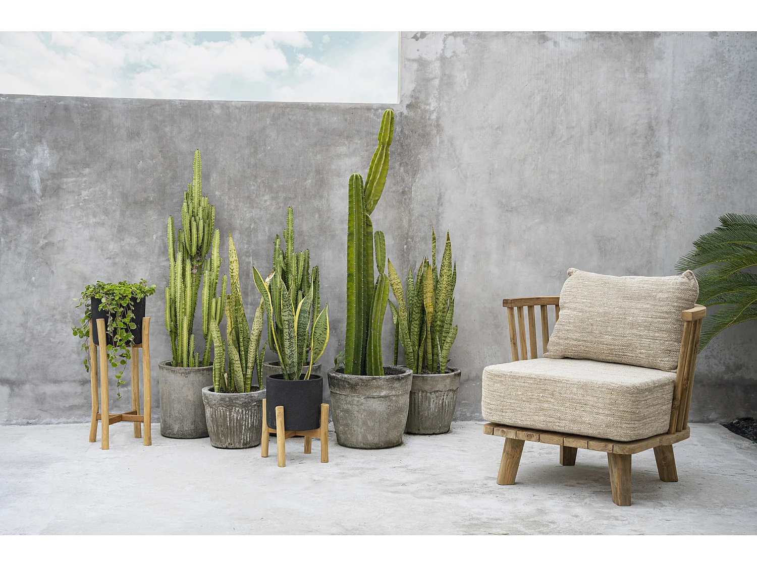 Der Malawi Einsitzer - Natur Beige