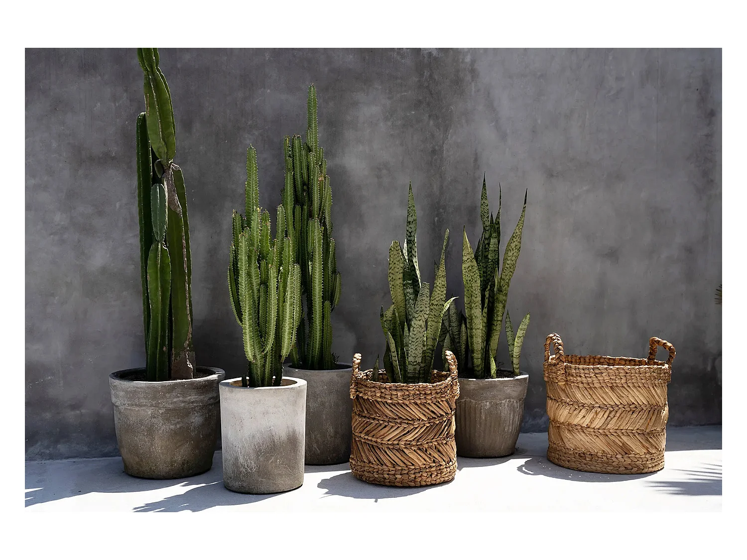 Le Panier En Feuilles De Banane Zigzag - M