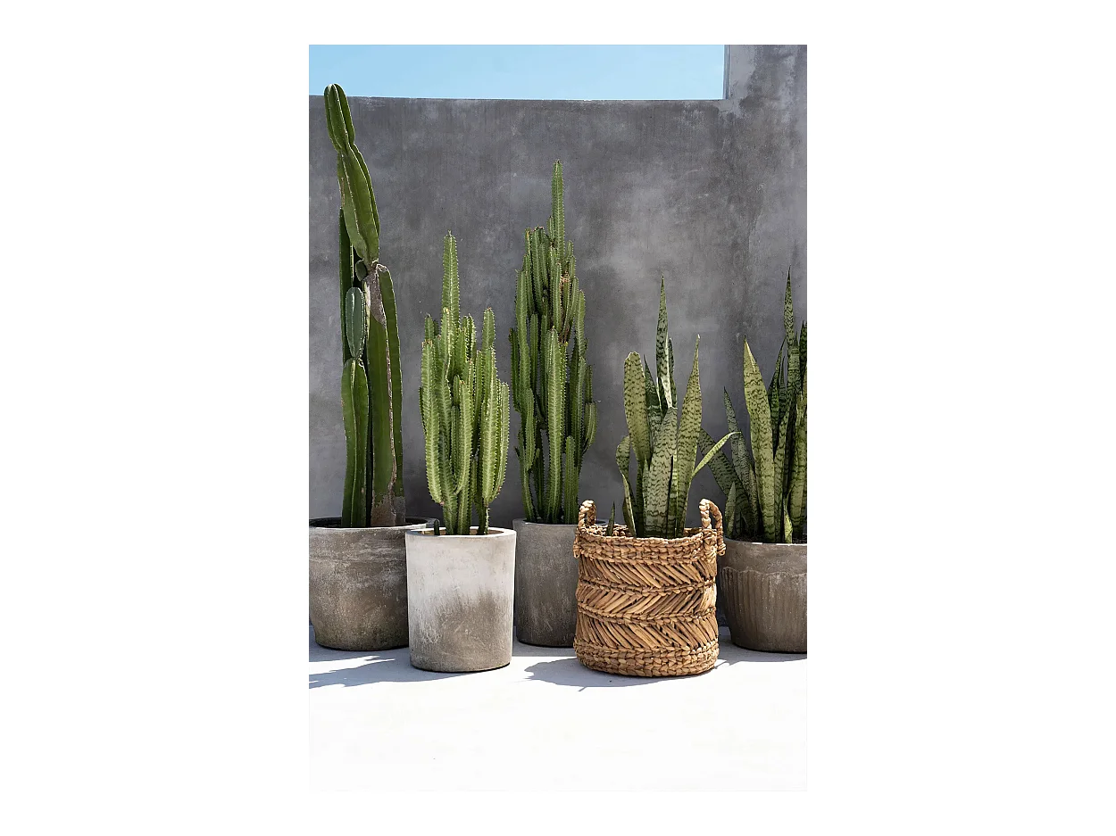 Le Panier En Feuilles De Banane Zigzag - M