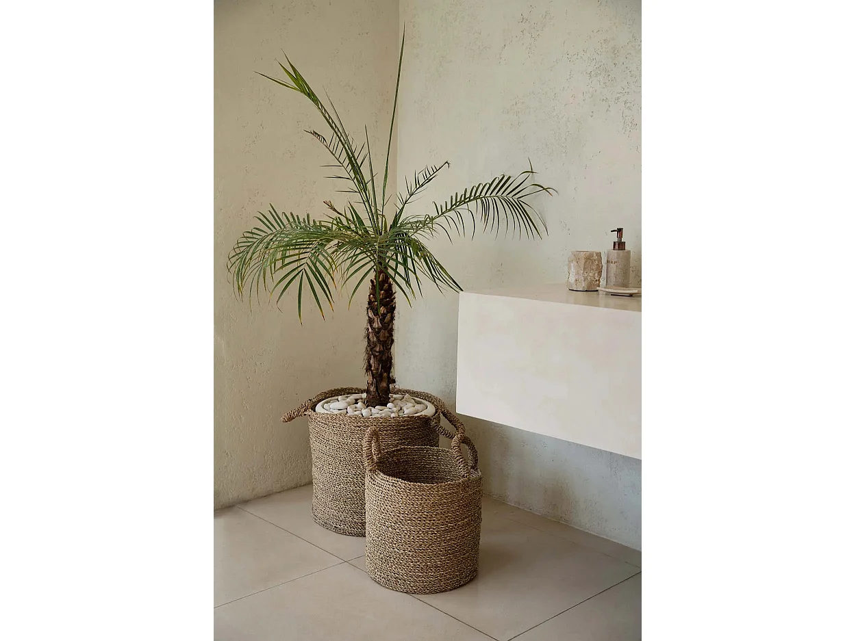 Le Panier Sensity - Natural - XL