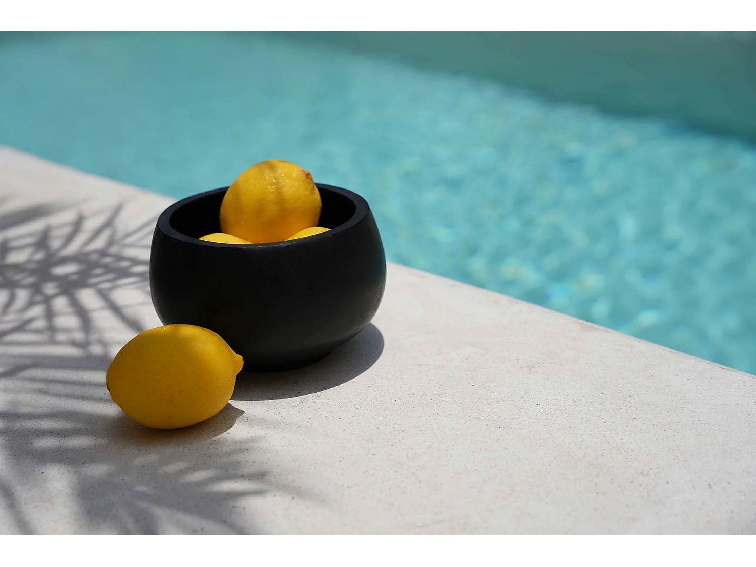 Die Schwarze Bondi Schale