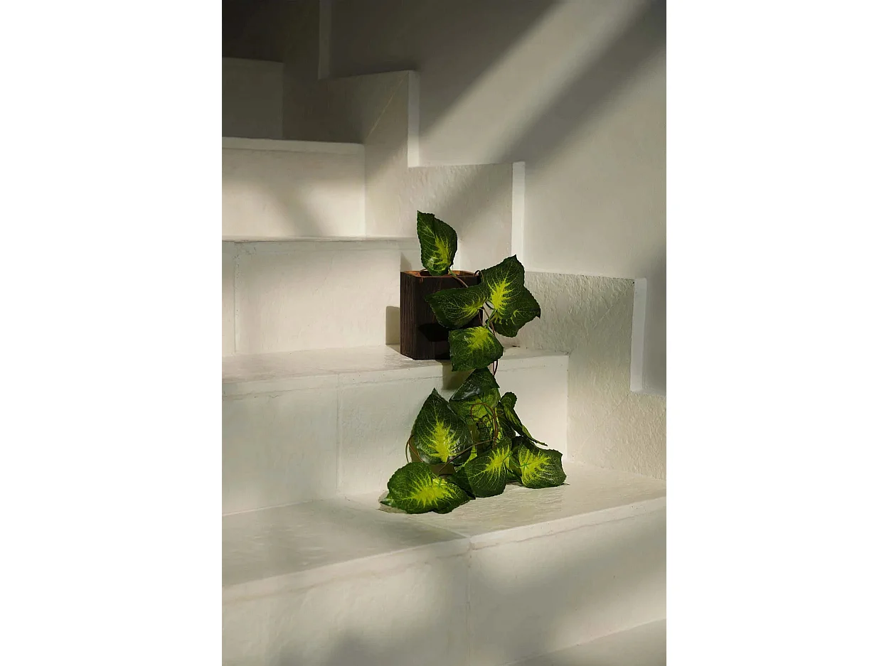 Die Bondi Vase - Quadratisch