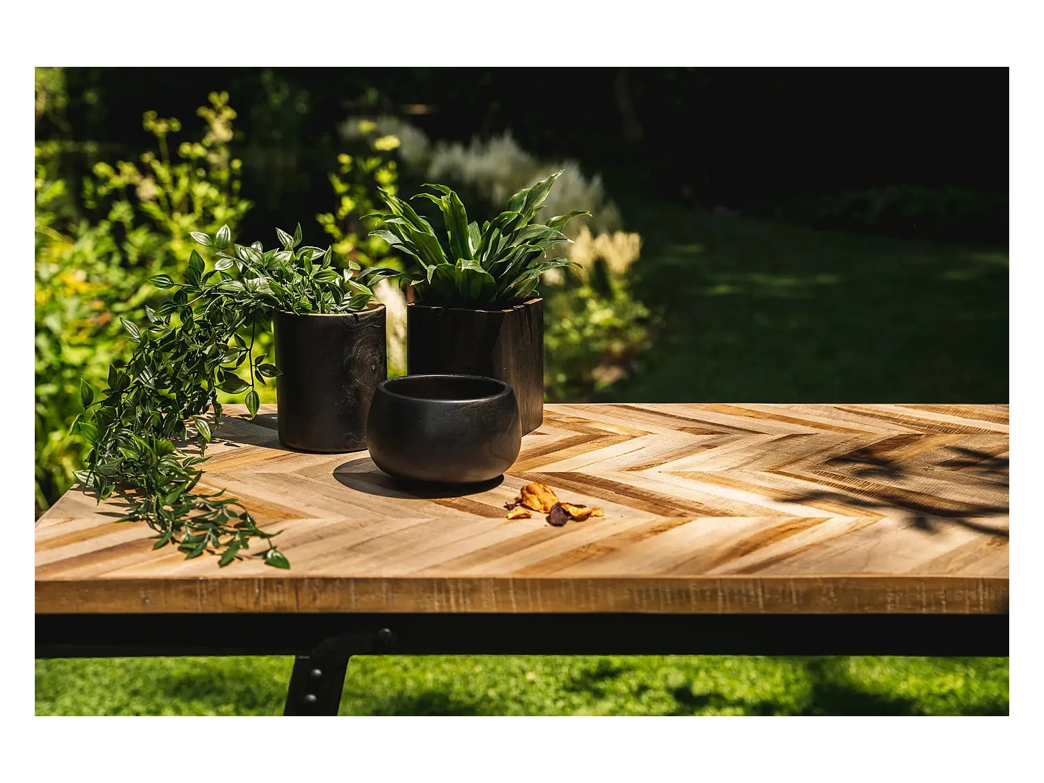 El Bol Bondi - Cuadrado