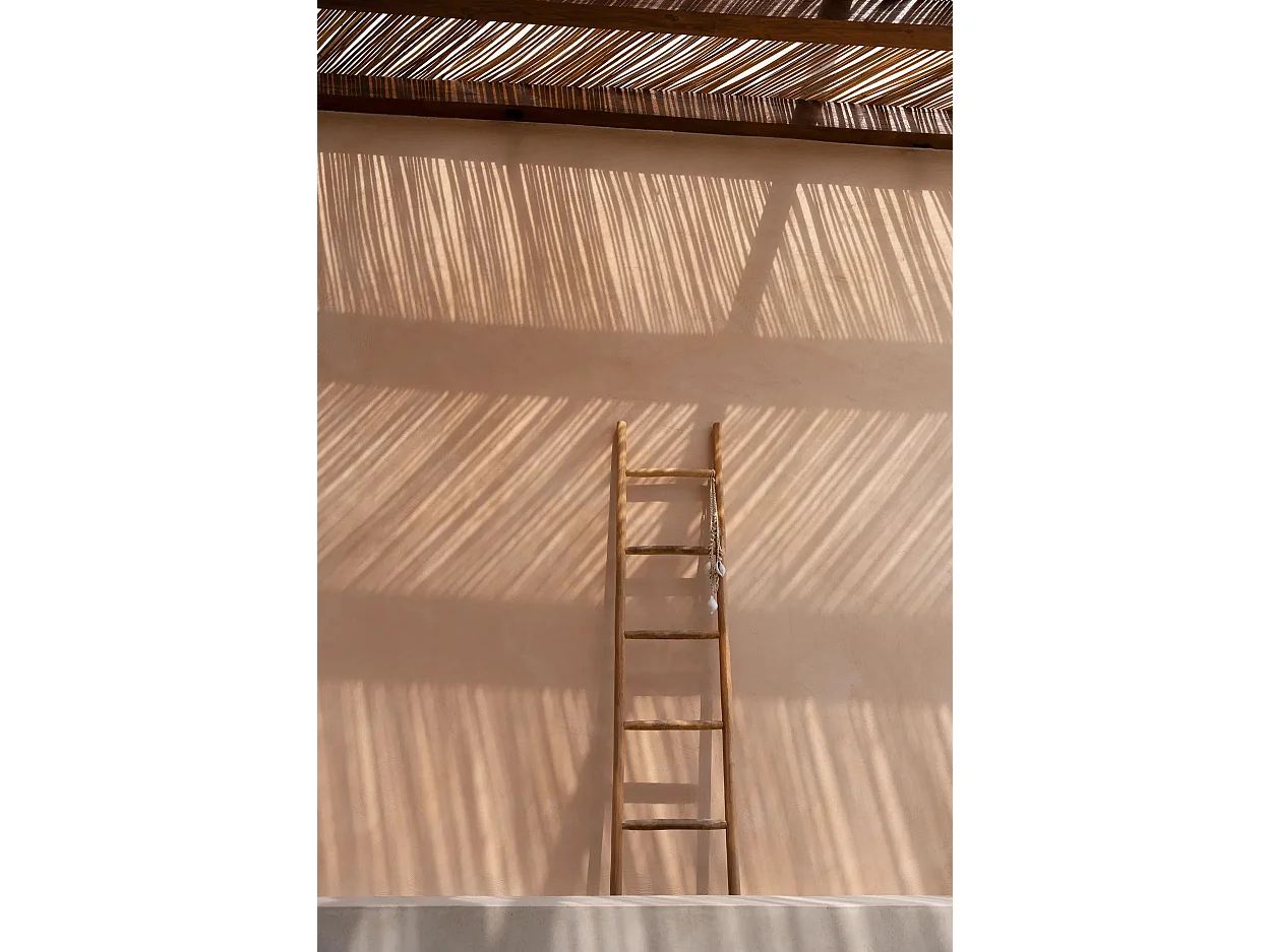 Der Tulum Leiter - Natur - 165