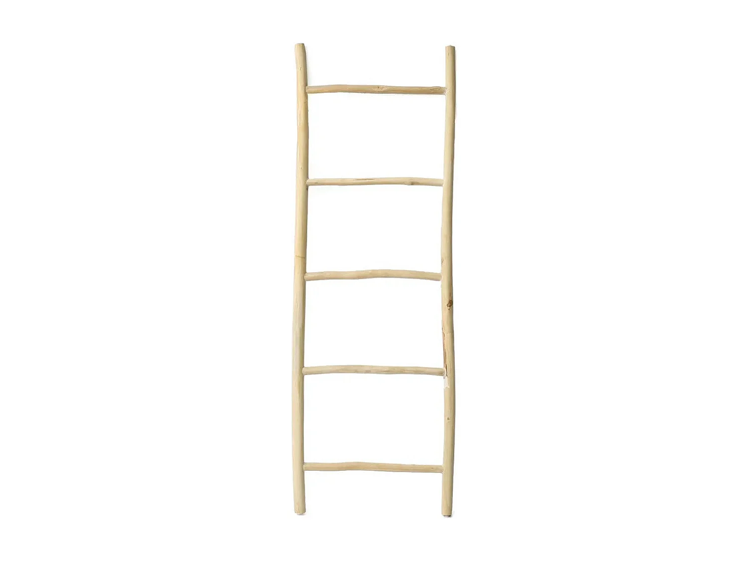 Der Tulum Leiter - Natur - 165