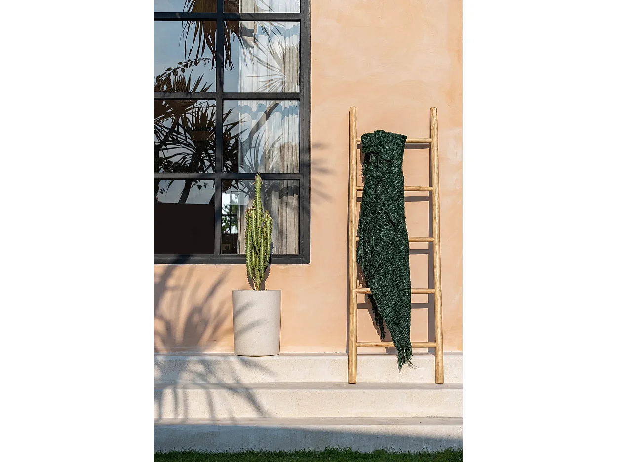 Der Tulum Leiter - Natur - 165