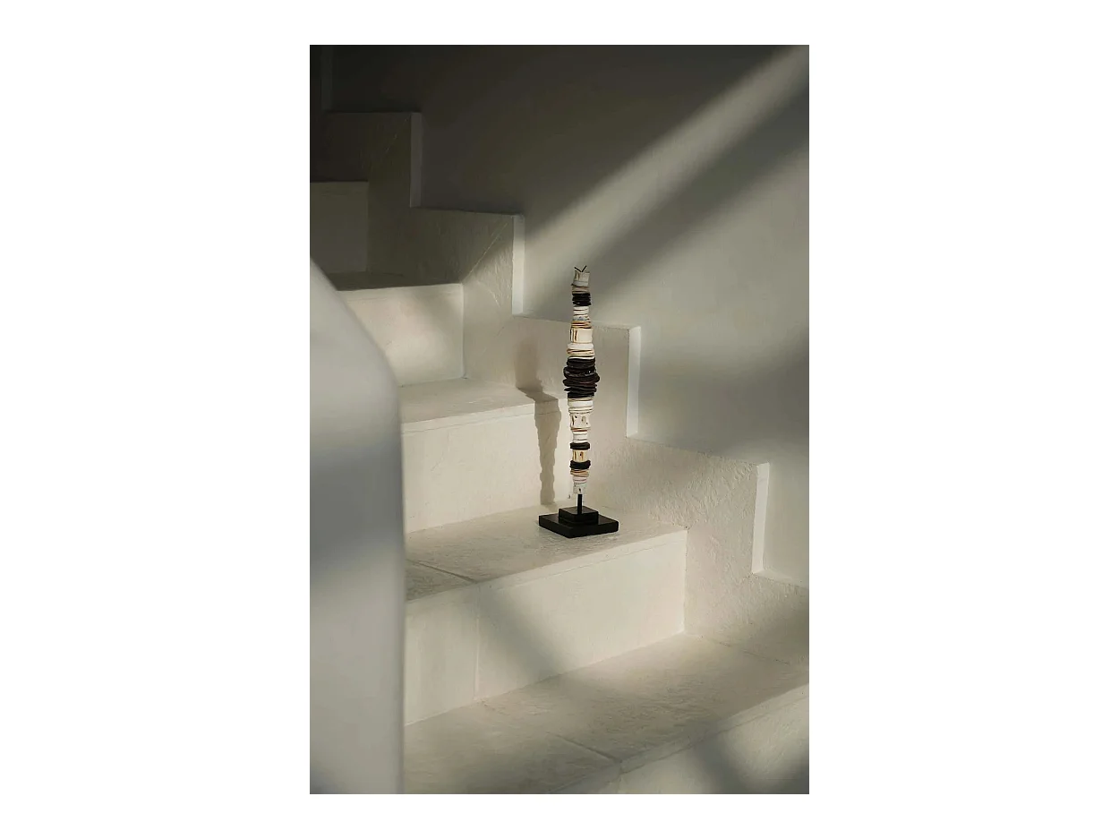 La concha de dinero en soporte - Blanco negro - M