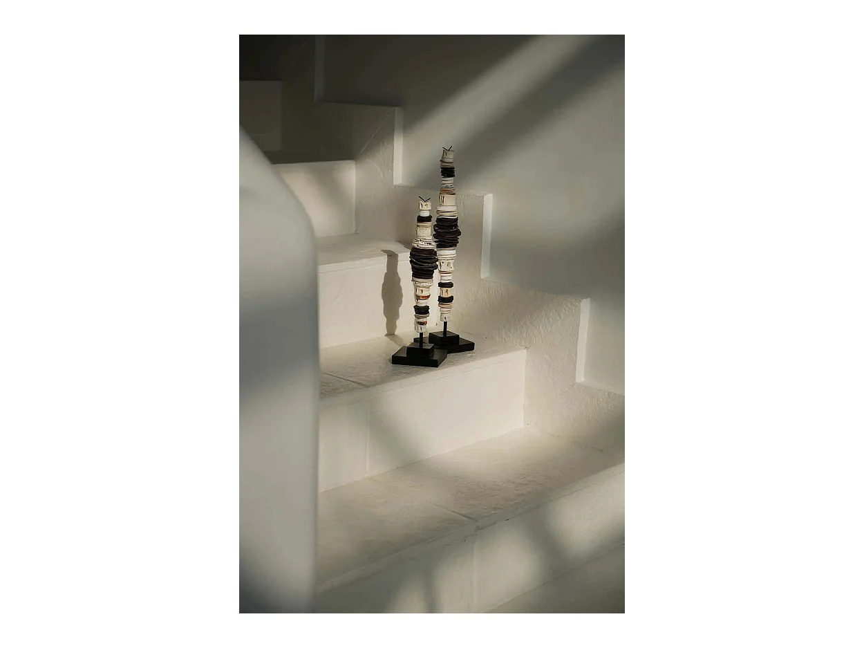 La concha de dinero en soporte - Blanco negro - M