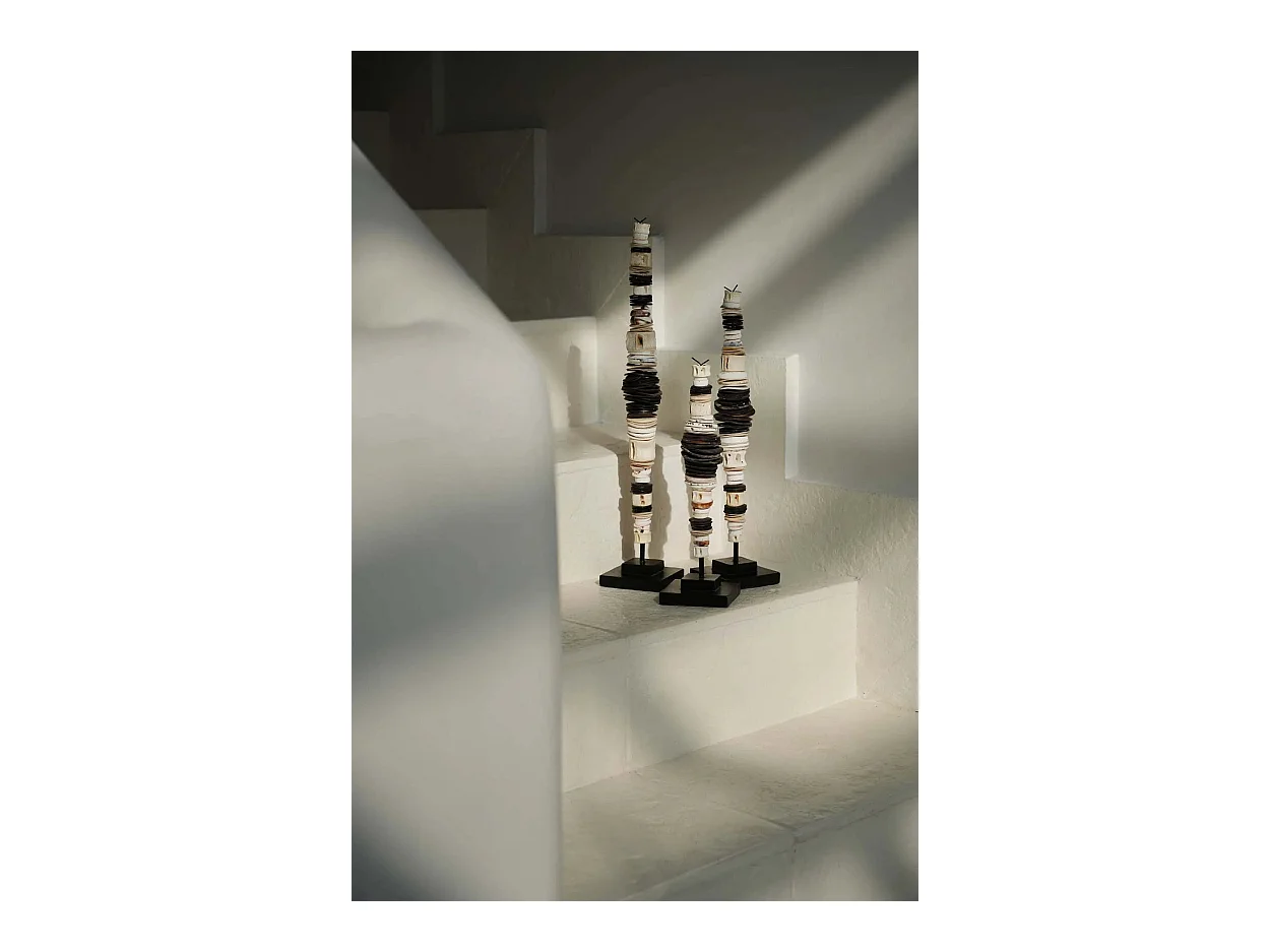 La concha de dinero en soporte - Blanco negro - M