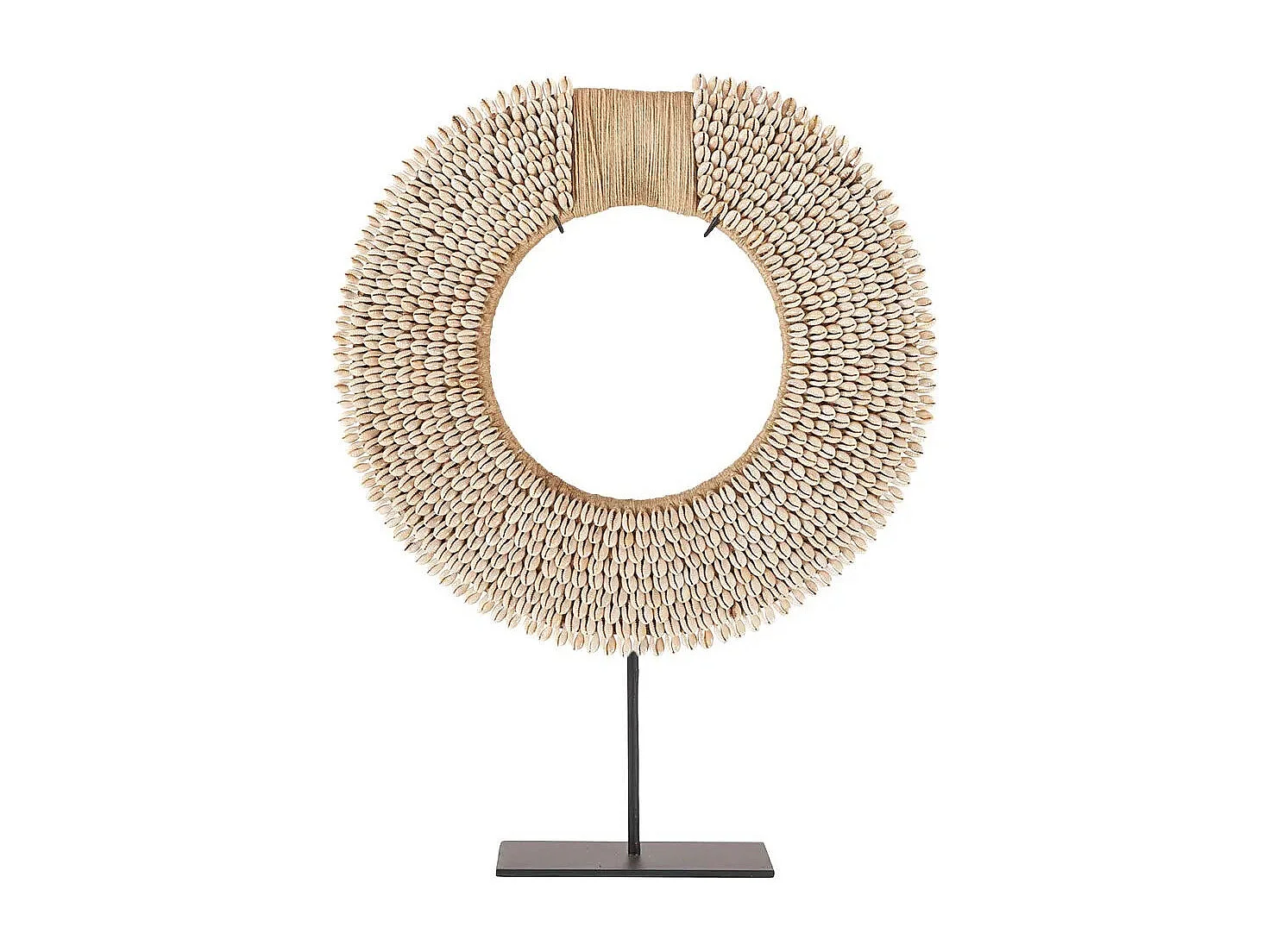 La Coquille Corsica sur Support - Naturel