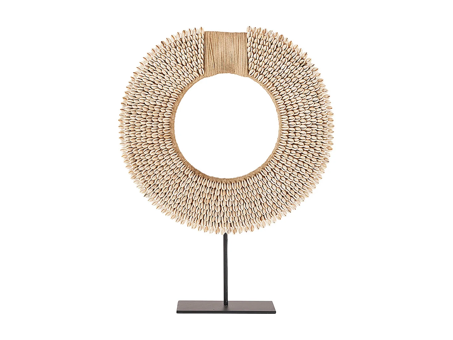 La Coquille Corsica sur Support - Naturel