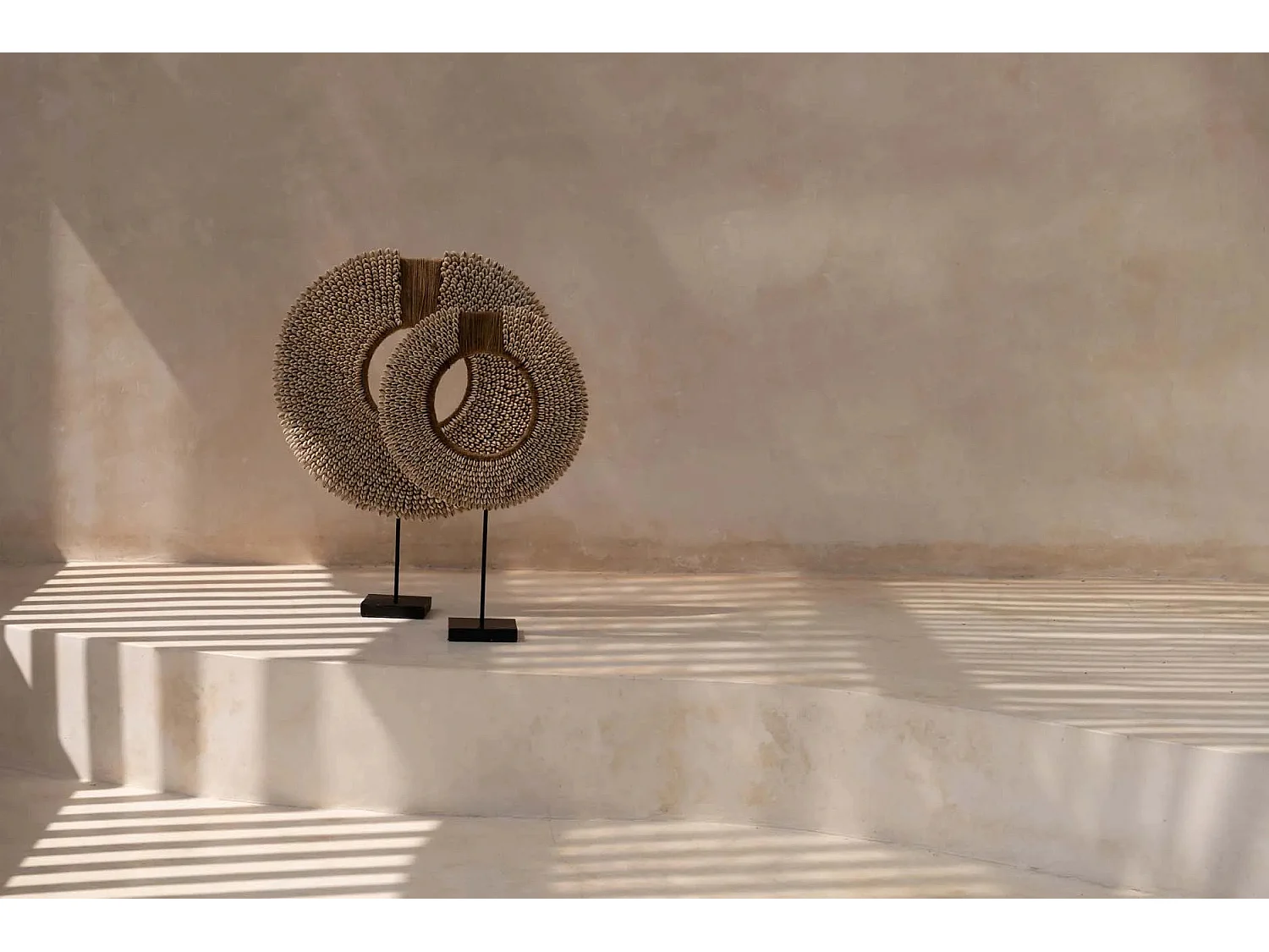 La Coquille Corsica sur Support - Naturel