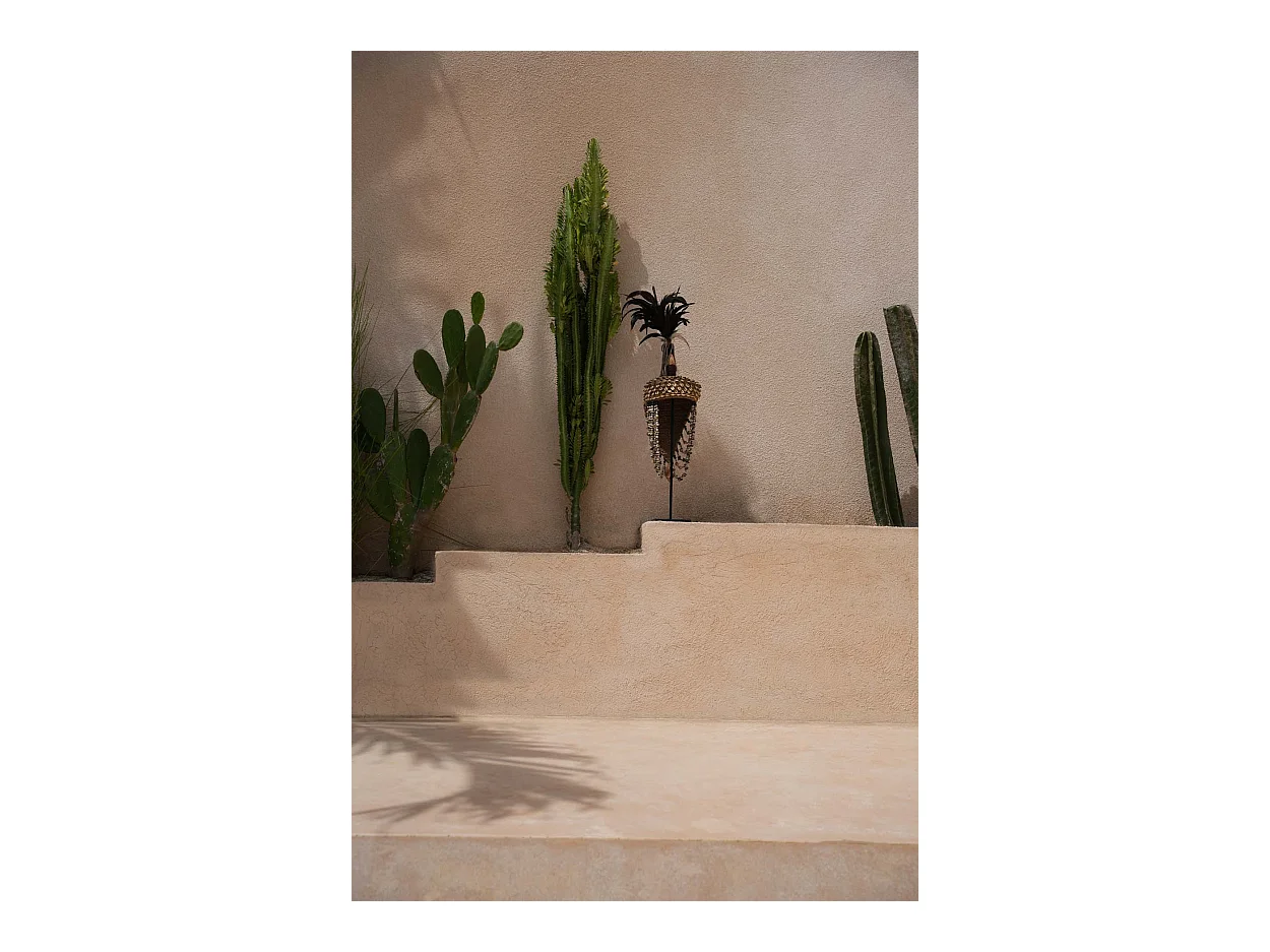 Der Shell Hut - Natur Schwarz