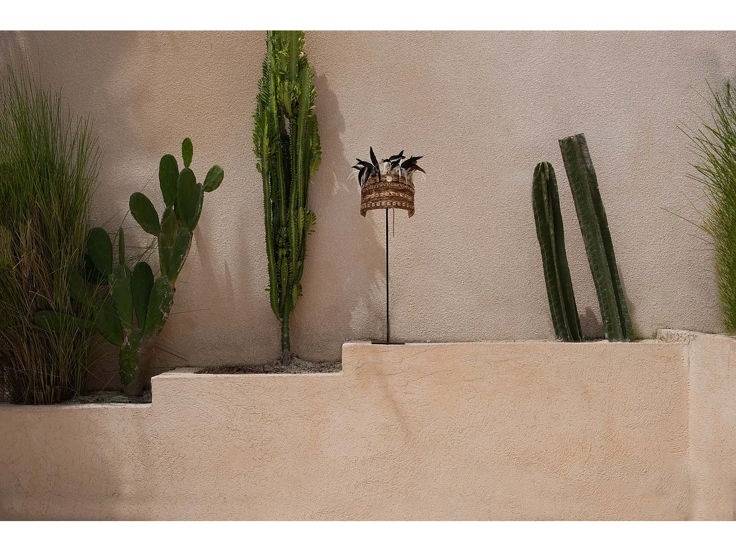 Sombrero de Plumas de Guinea sobre Pie - Negro Natural