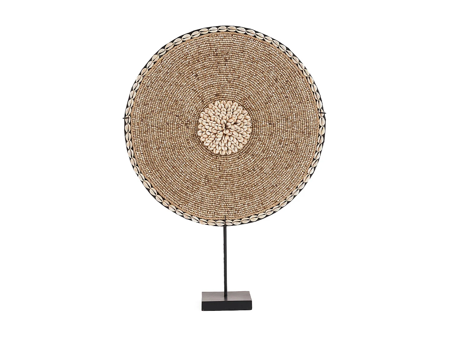 La Coquille Guadeloupe sur Support - Blanc Naturel