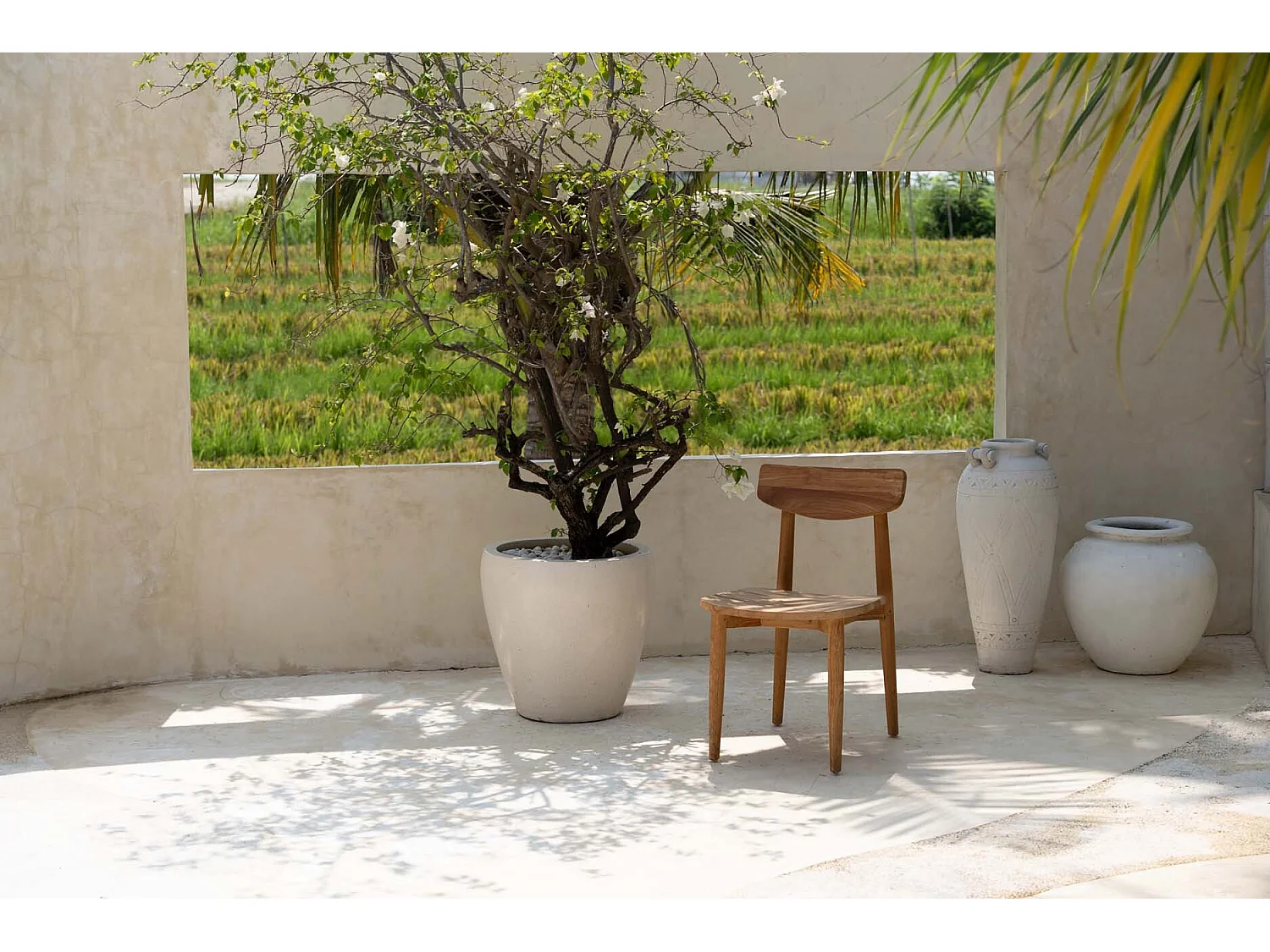 La Silla de Comedor Matita - Exterior