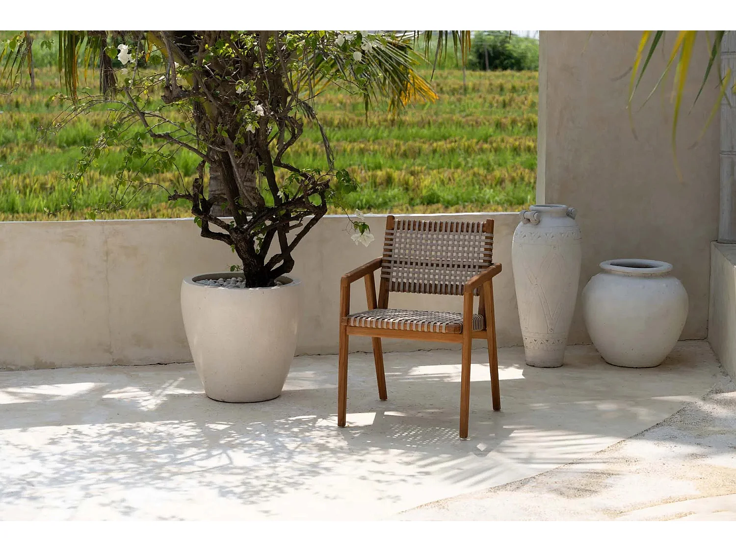 La Chaise De Salle À Manger Trikeri