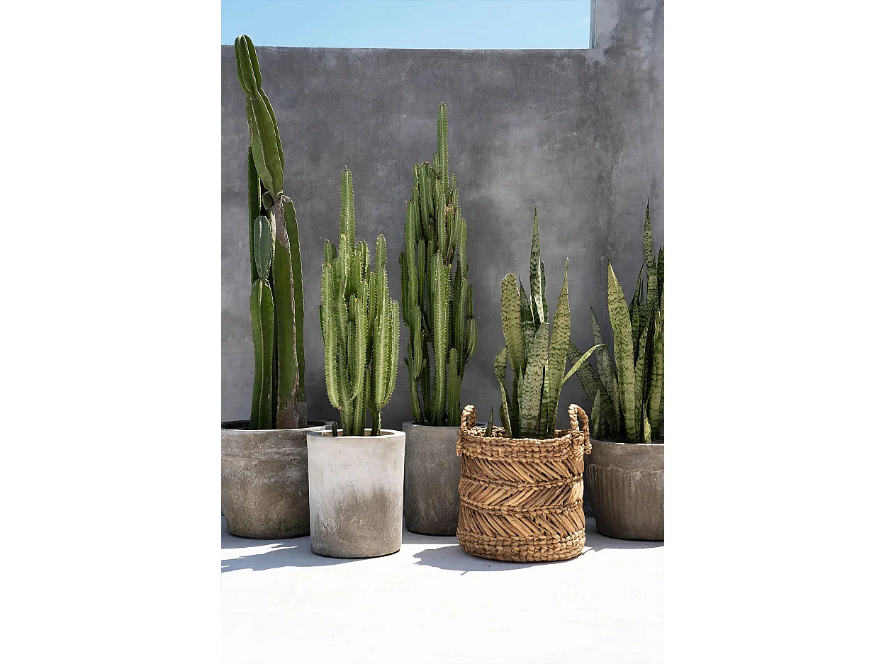 De Bananen Zigzag-Mand - L