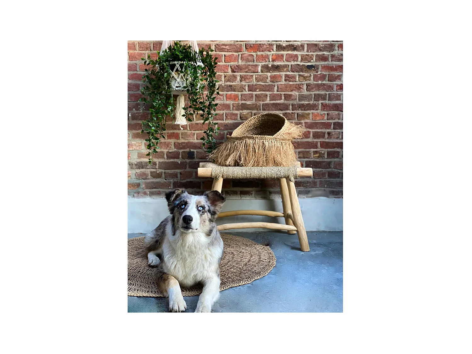 El Portaplantas de Macramé - Blanco - L