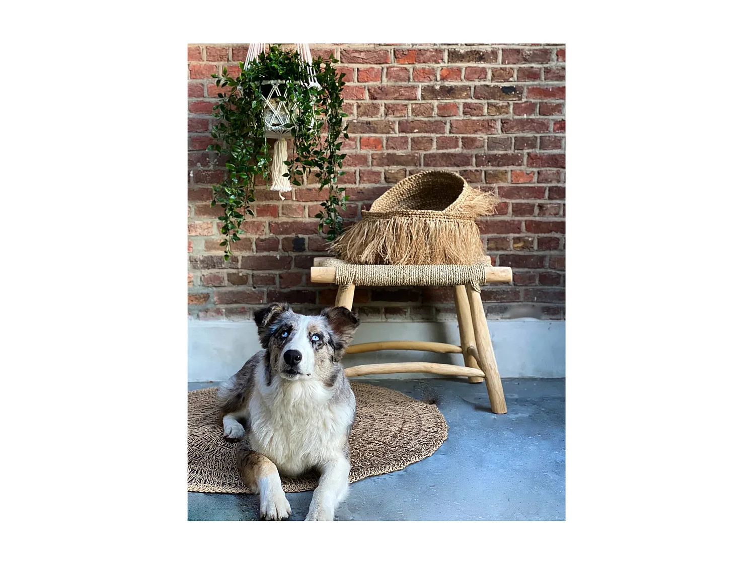 Le Porte-Plante Macramé - Blanc - L