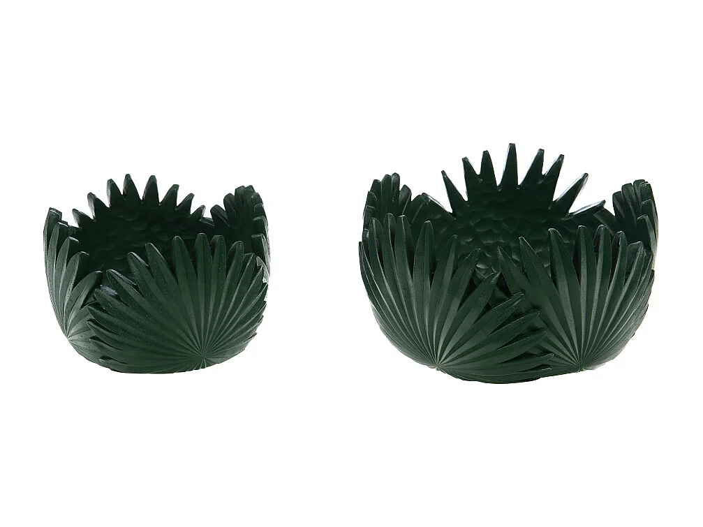 Coupe Tropical verte 10 cm