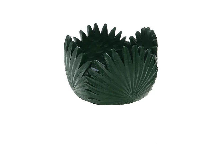 Coupe Tropical verte 10 cm