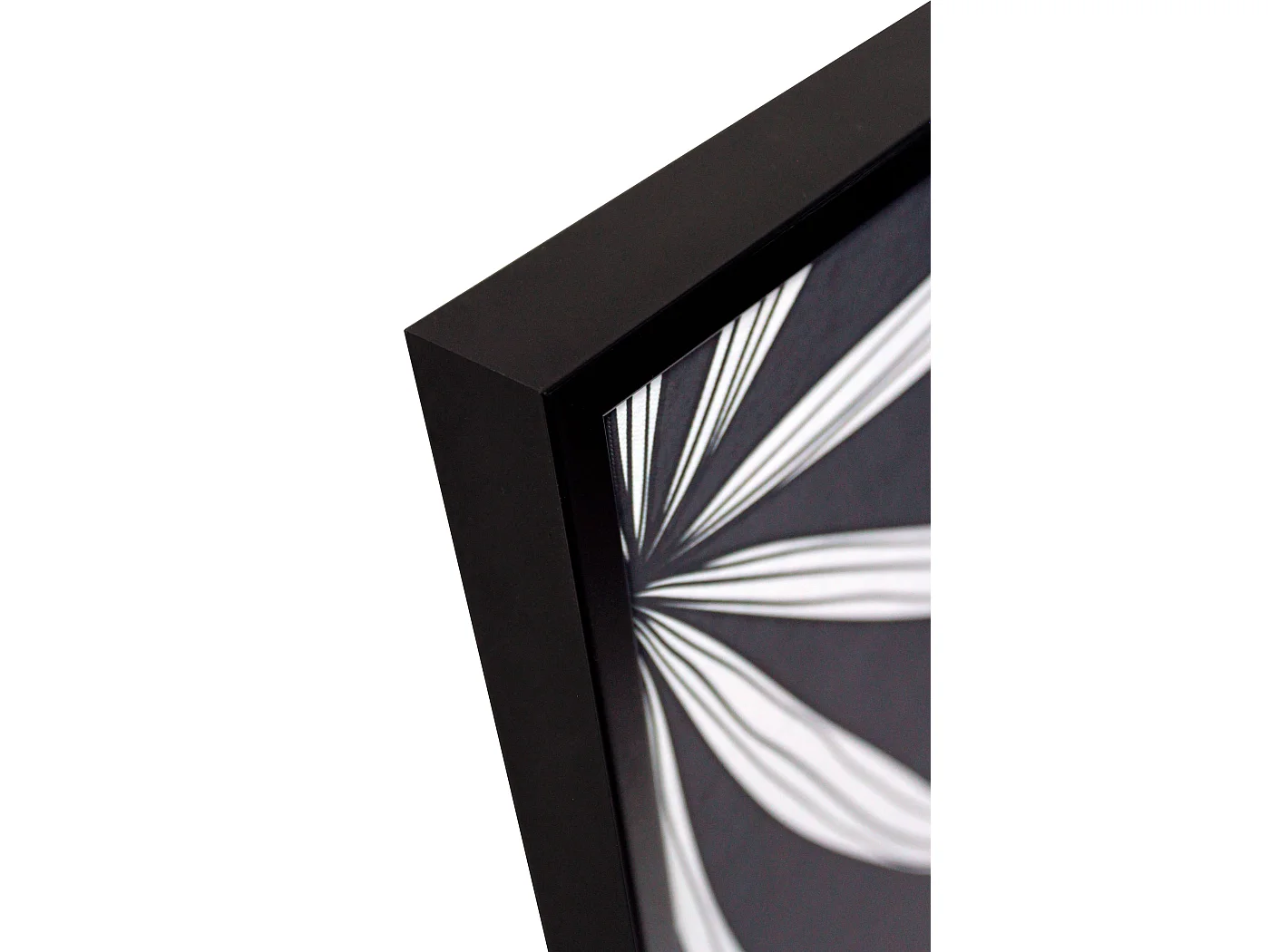 Toile imprimée encadrée feuilles en couleur noir blanc et doré 92x62cm