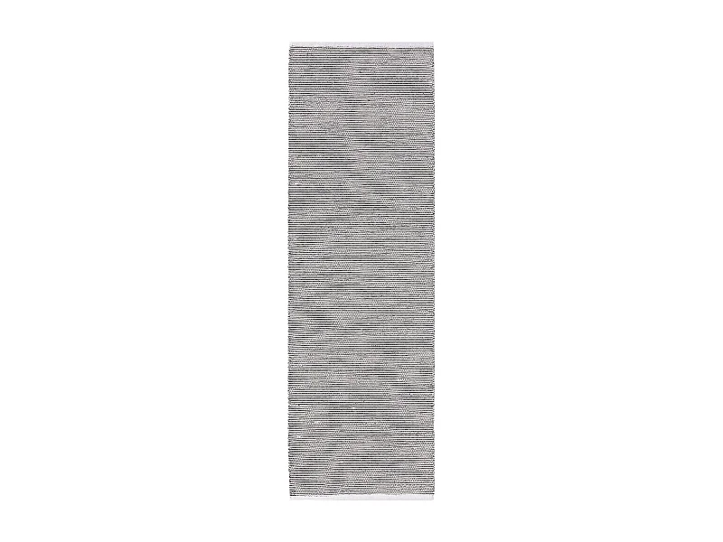 Tapis de couloir en coton tissé main Ron Blanc/Noir 80x300 cm