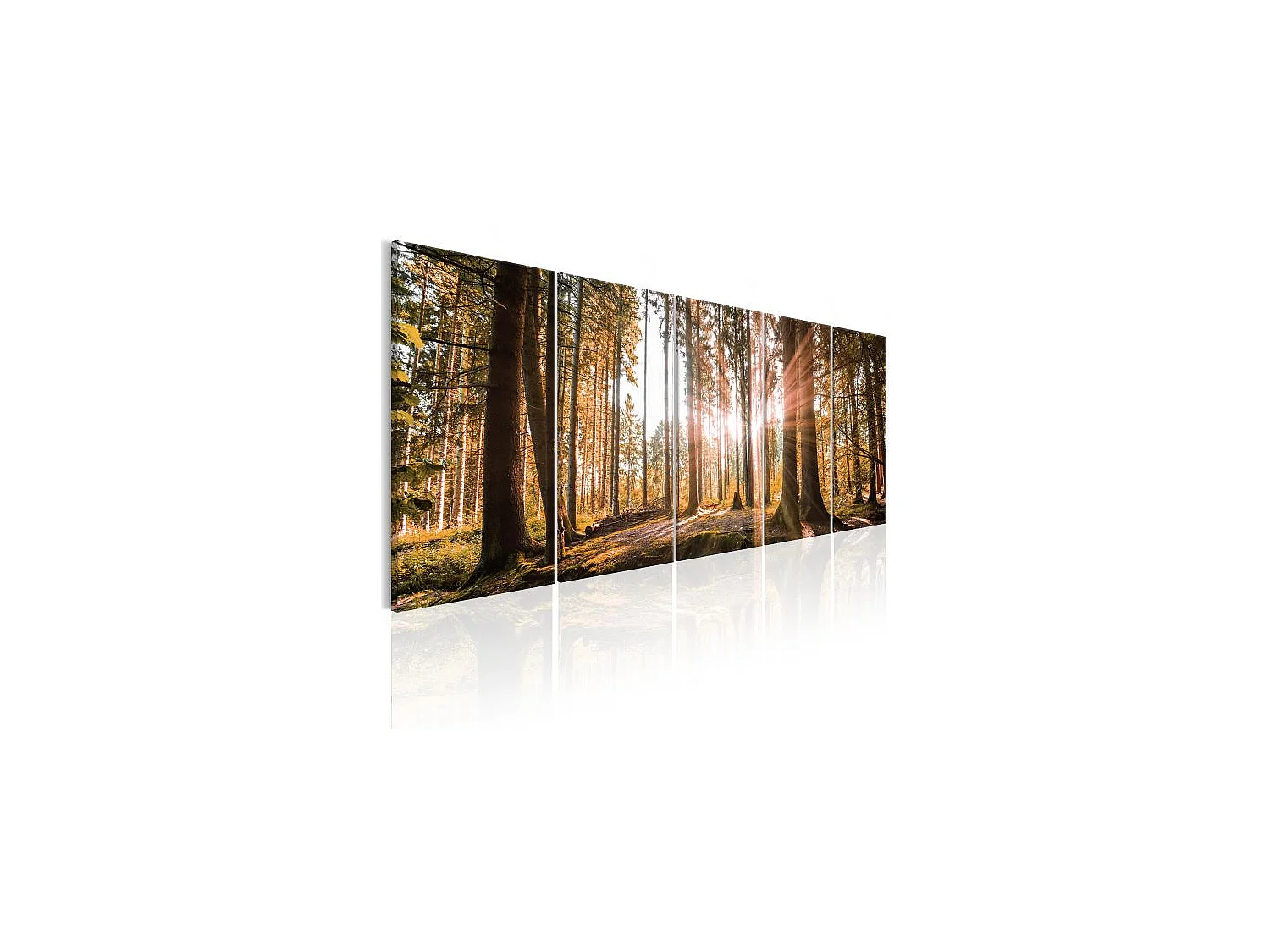 Tableau Beauty of Nature 200x80 cm