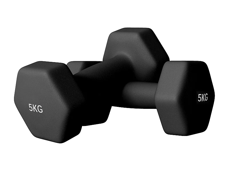 Lot de 2 haltères hexagonales 2 x 5 Kg - poignée antidérapante - métal PVC noir