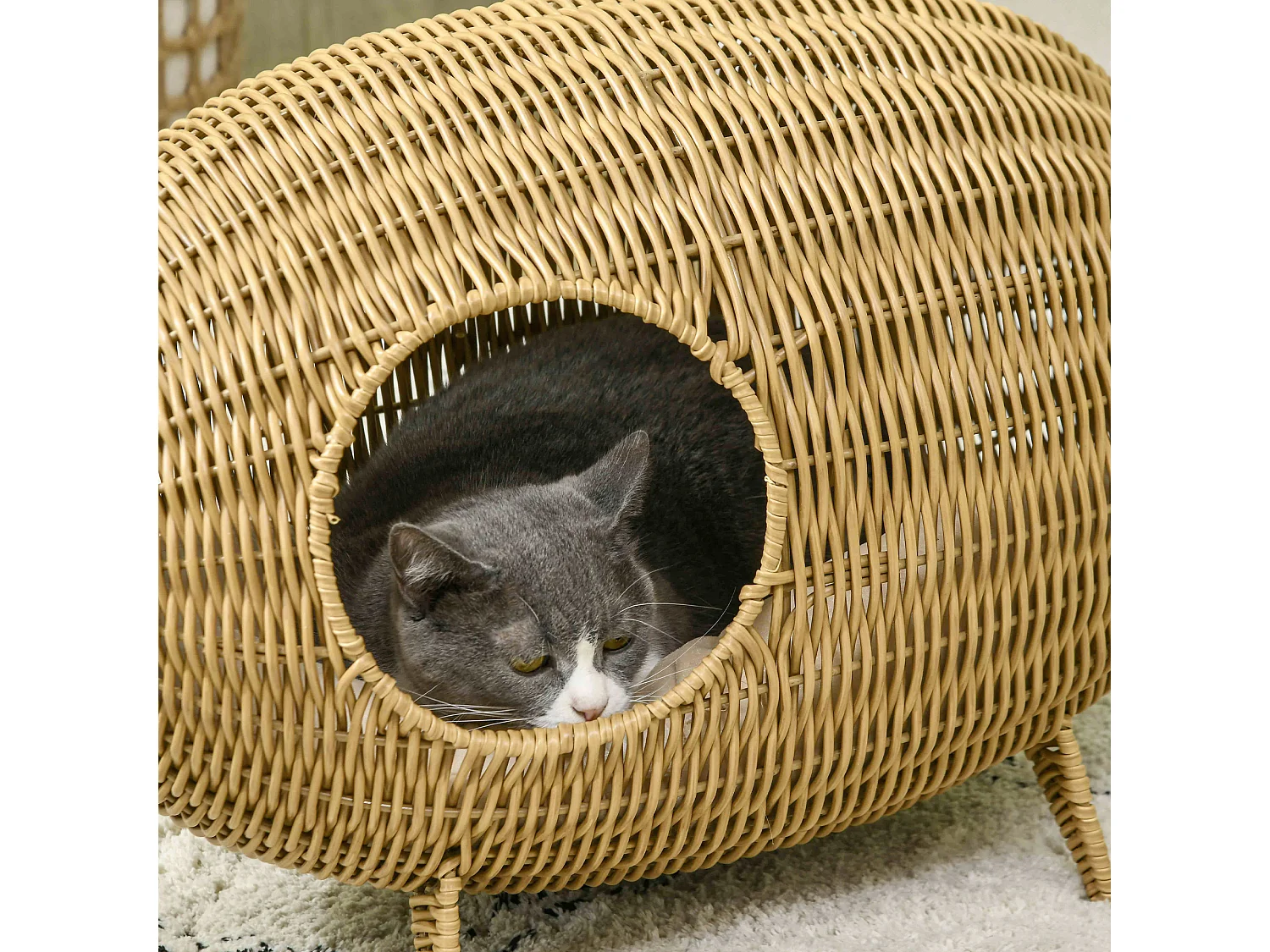 Panier pour chat en résine tressée imitation rotin grand confort dim. 55L x 36l x 42H cm coussin moelleux beige inclus