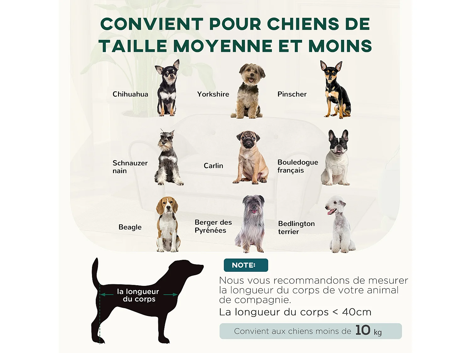 Canapé pour chien design - coussin déhoussable - dim. 74L x 41l x 32,5H cm - velours gris