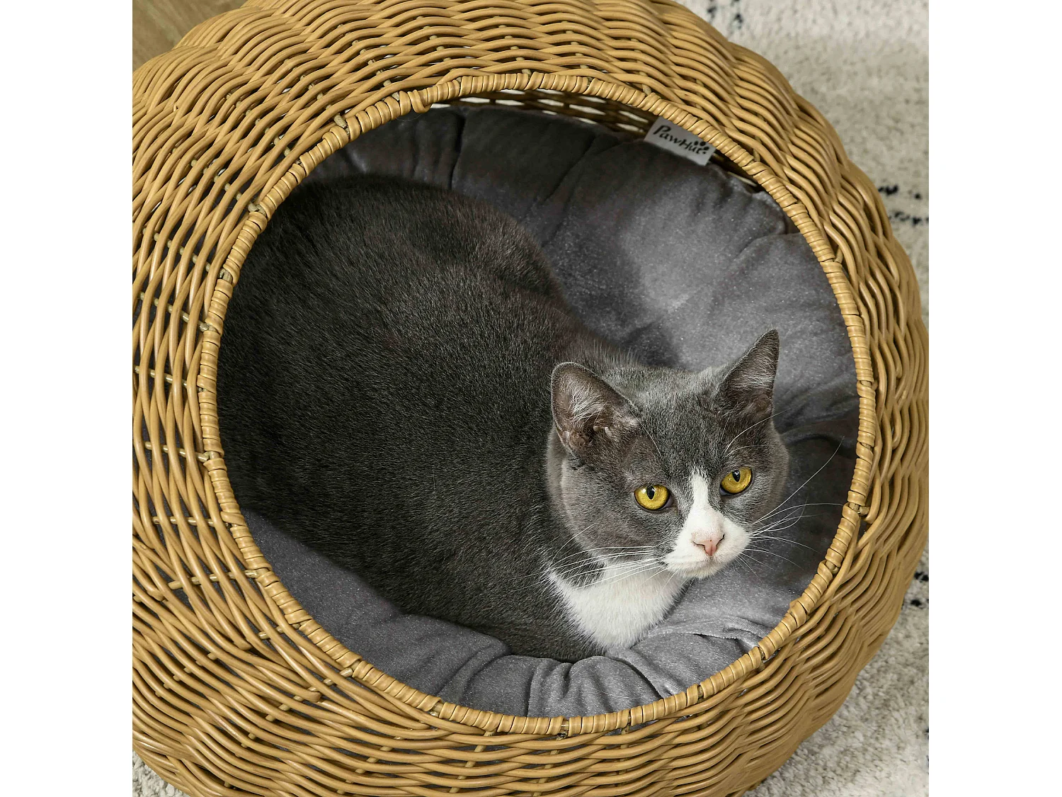 Niche pour chat lit pour chat panier de chat en résine tressée imitation rotin coussin doux déhoussable Ø 50 x 31H cm marron clair