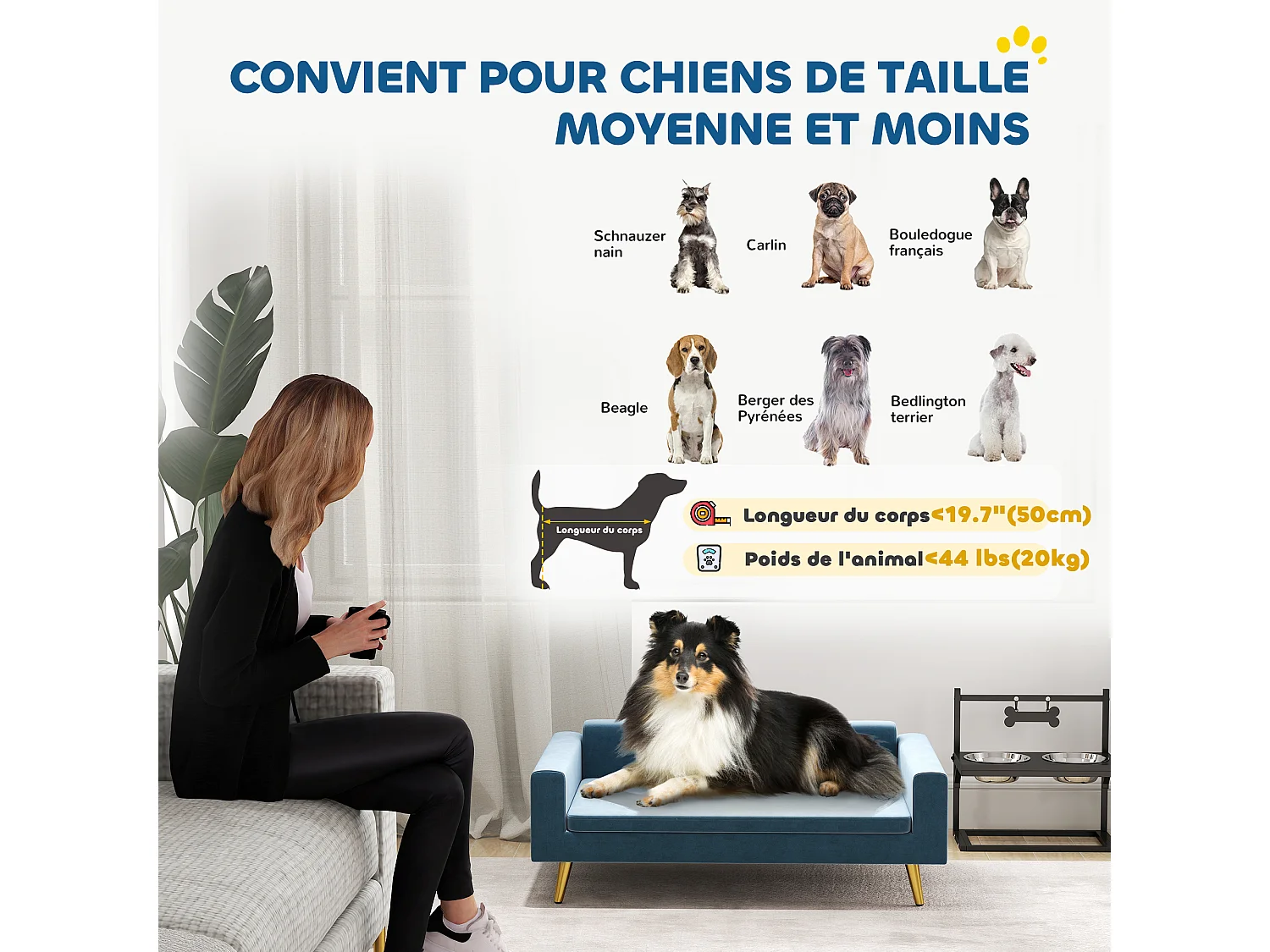 Canapé chien style art déco - dim. 94L x 59l x 31H cm - coussin amovible déhoussable - acier doré velours bleu