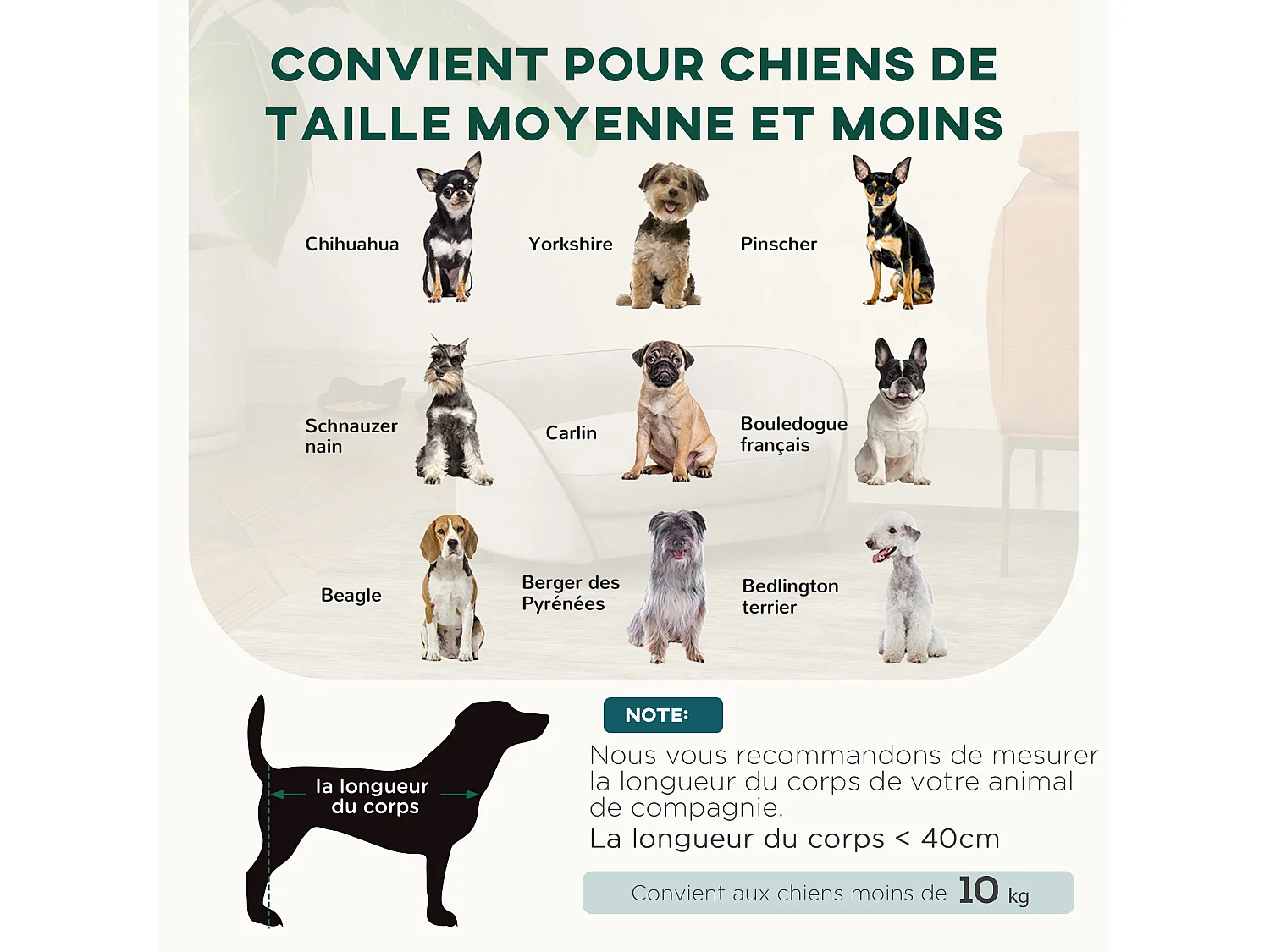 Canapé pour chien design - coussin déhoussable - dim. 67L x 43l x 31H cm - velours gris