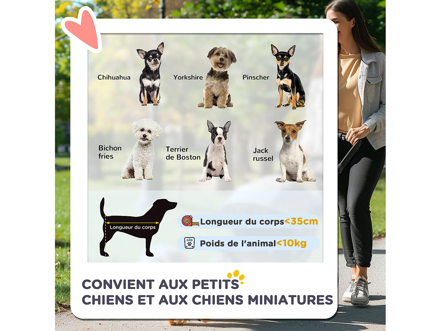 Poussette buggy pliable chien chat - porte-gobelet, panier rangement intégré - acier oxford bleu marine