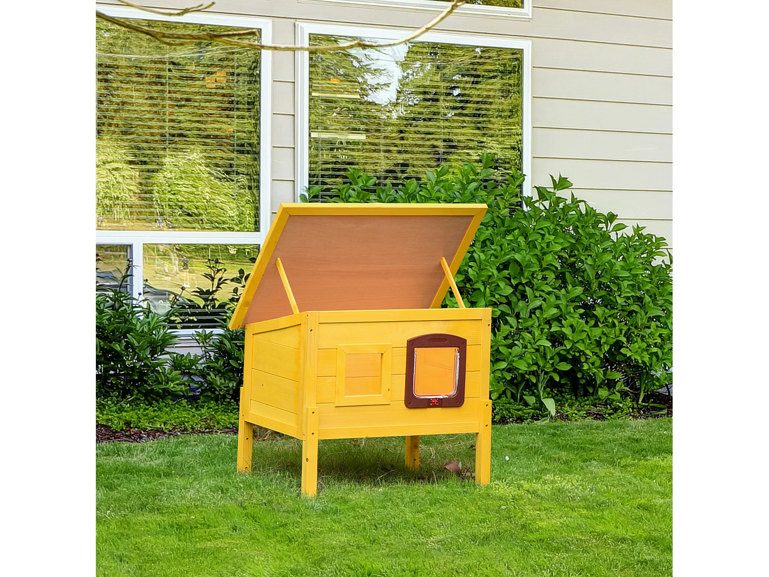 Maison niche pour chat sur pied toit bitumé ouvrant porte fenêtre bois verni