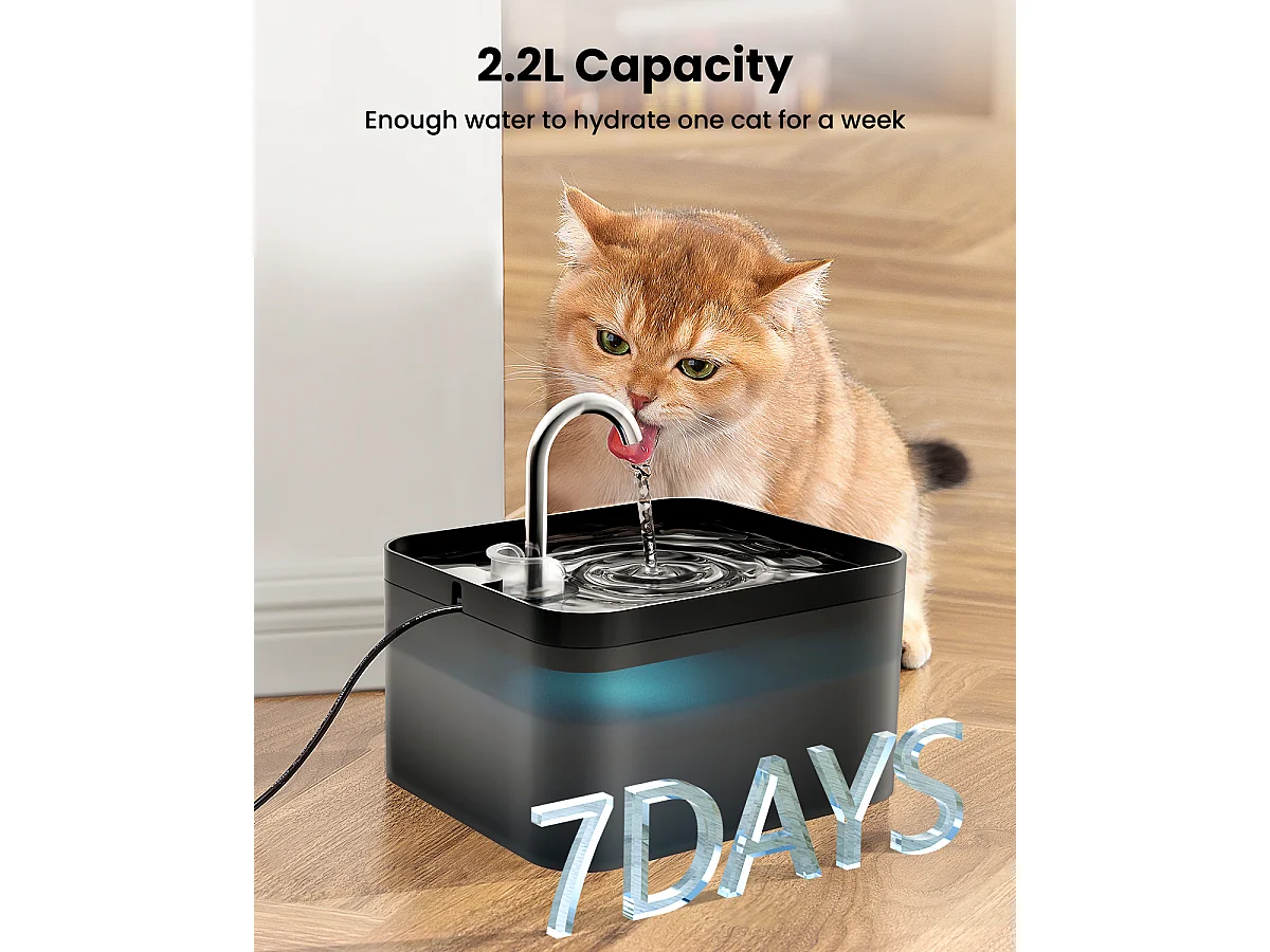2.2L Fontaine Eau Chat,6 Pièces Filtre à Charbon+3 Pièces Éponges, Pompe Silencieuse avec Éclairage LED,Filtration Multiple,Réservoir eau Translucide
