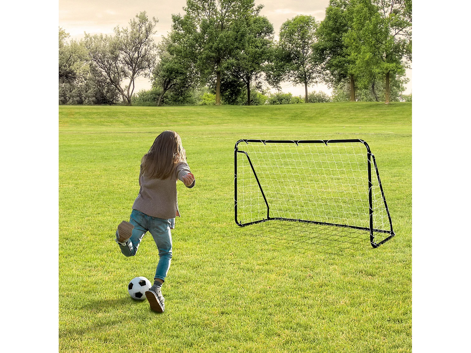 But de football - cage de foot - but futsal dim. 203L x 81l x 120H cm - châssis métal époxy filet polyester - piquets inclus - noir