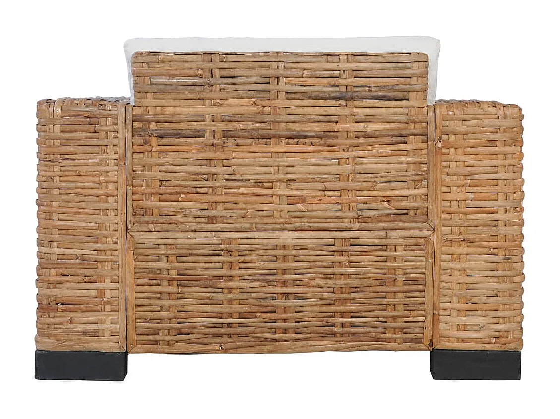 Fauteuil met kussens natuurlijk rattan